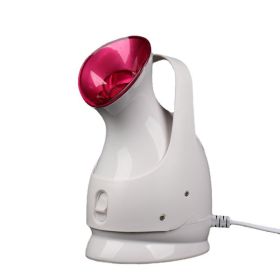 Nano Ion Steaming Facial Beauty Instrument Cleaner