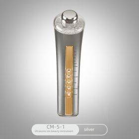 Photon Skin Rejuvenation Cosmetic Instrument (Color: Silver)