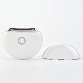Micro Current Facial Beauty Instrument (Option: White-SK 2008)