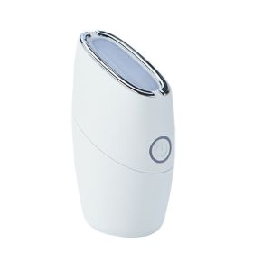 Micro-current Facial Beauty Massage Instrument (Option: White-SK 2013)